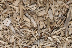 biomass boilers Wood Road